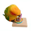 Bird Training Ring Toy Parrot Educational Toys Training Interactive Bird Supplies Bird Toys Random Color
