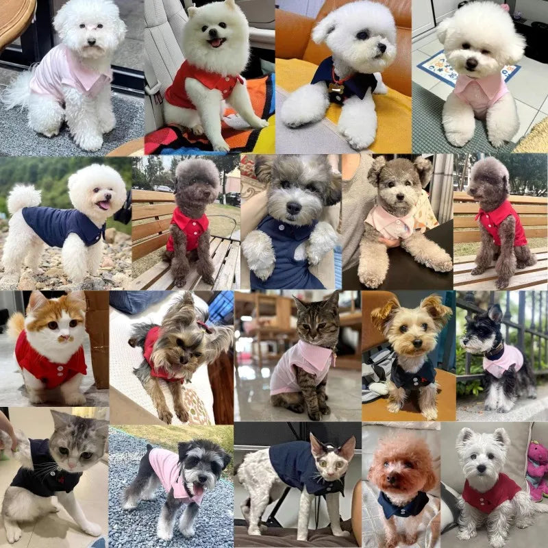 Polo Shirt for Small Medium Dogs Fashion Dog Clothes Cute Solid Puppy Pullover Summer Cool Cat Shirt Pet Sweatshirt Dog Costumes